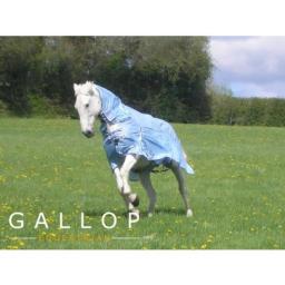 Gallop 2 in 1 Turnout Fly Rug / Shower Proof