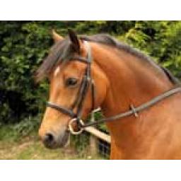 Leather Bridle Snaffle
