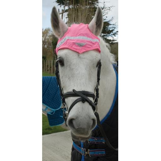 490_Pink hiviz horse hat.jpg