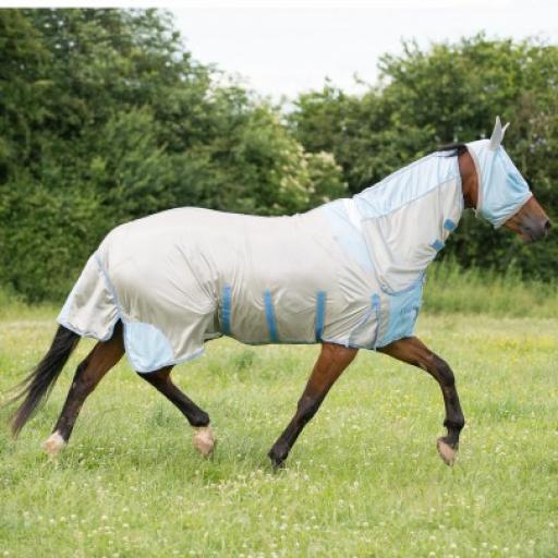 Gallop Fly Rug 2010