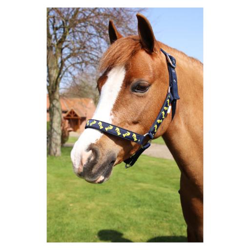 Lancelot Head Collar and Lead Rope by Little Knight