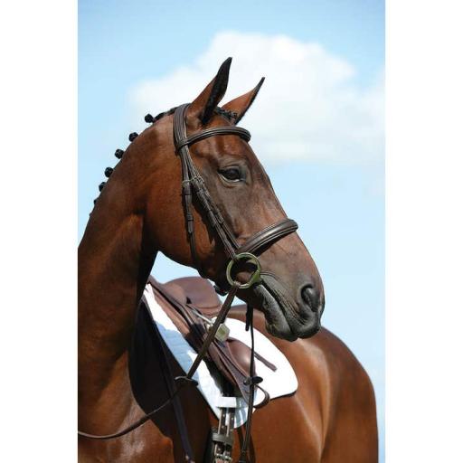 COLLEGIATE  Syntovia+ Padded Raised Cavesson Bridle  Brown